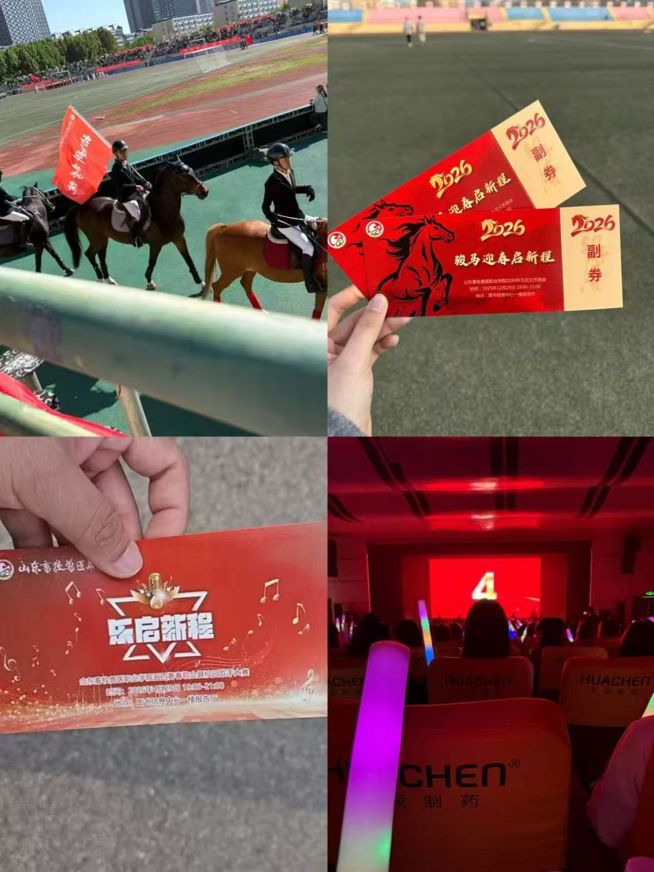 校园活动